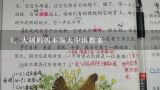 大树妈妈本领大中班教案,幼儿园中班《大树妈妈》教案