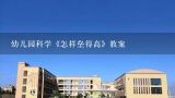 幼儿园科学《怎样垒得高》教案,中班科学 怎样垒的高