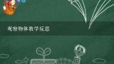 小学二年级数学观察物体教学反思,观察物体教学反思