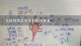 幼儿园小班大米和小米教案,大班科学各种各样的米教案