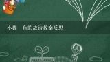 小猫訋鱼的故诗教案反思,中班科学种子躲猫猫教案反思？