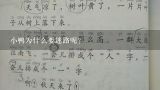 小鸭为什么要迷路呢?