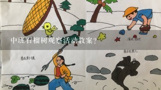 中班石榴树观察活动教案？