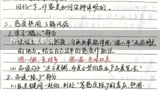 综合实践教案