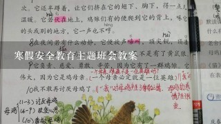 寒假安全教育主题班会教案