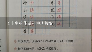 《小狗抬花轿》中班教案