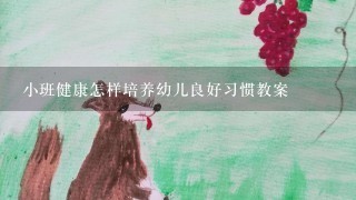 小班健康怎样培养幼儿良好习惯教案