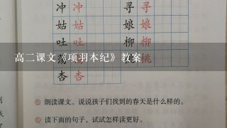 高二课文《项羽本纪》教案