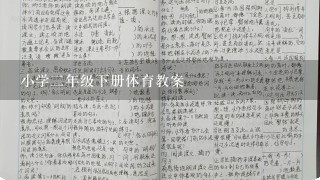 小学二年级下册体育教案