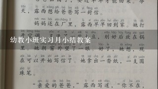 幼教小班实习月小结教案