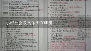 小班社会教案冬天在哪里