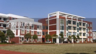 小学劳技教案