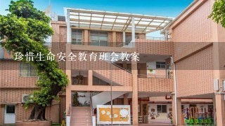 珍惜生命安全教育班会教案