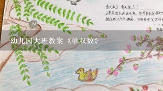 幼儿园大班教案《单双数》