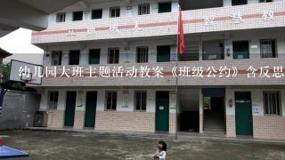 幼儿园大班主题活动教案《班级公约》含反思