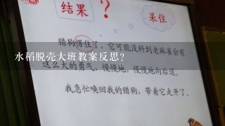 水稻脱壳大班教案反思？