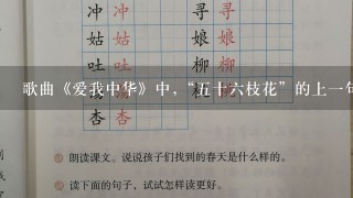 歌曲《爱我中华》中,“五十六枝花”的上一句是什么?