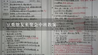 豆类朋友来聚会中班教案