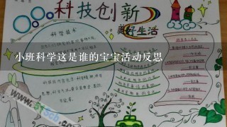 小班科学这是谁的宝宝活动反思