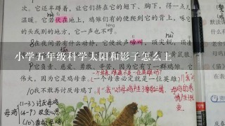 小学五年级科学太阳和影子怎么上