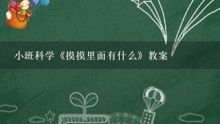 小班科学《摸摸里面有什么》教案