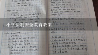 小学法制安全教育教案