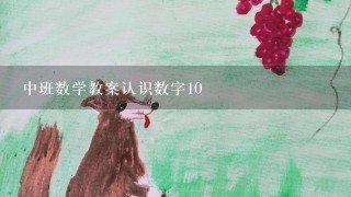 中班数学教案认识数字10