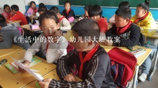 《生活中的数字》幼儿园大班教案