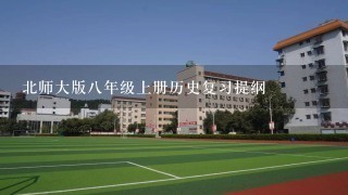 北师大版八年级上册历史复习提纲