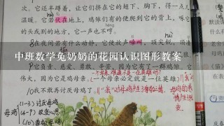 中班数学兔奶奶的花园认识图形教案