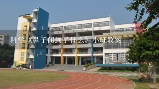 科学《鼻子闻到了什么》小班教案