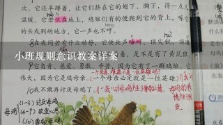 小班规则意识教案详案