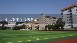 小班数学深与浅教案