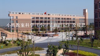 小班教案科学《小豆子旅行记》及反思