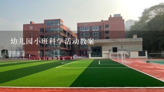 幼儿园小班科学活动教案