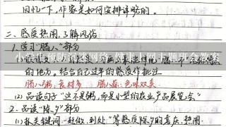 小学生预防沉迷网络 健康上网主题班会教案