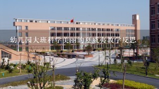 幼儿园大班科学美丽的夏威夷教学反思