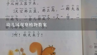 幼儿园观察植物教案