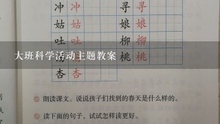 大班科学活动主题教案