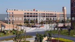 幼儿园中班上学期科学教案《多彩的昆虫世界》