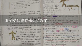 我们受法律特殊保护教案