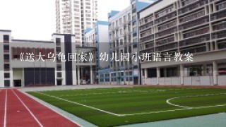 《送大乌龟回家》幼儿园小班语言教案