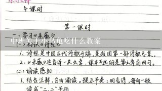 中班关于小乌龟吃什么教案