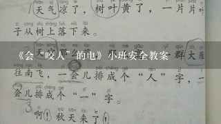 《会“咬人”的电》小班安全教案