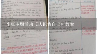 小班主题活动《认识我自己》教案