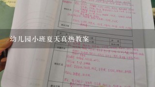 幼儿园小班夏天真热教案