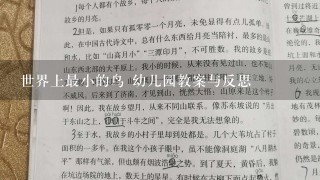 世界上最小的鸟 幼儿园教案与反思