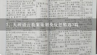 大班语言教案策划及反思精选5篇