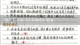 幼儿园小班《认识颜色》教案