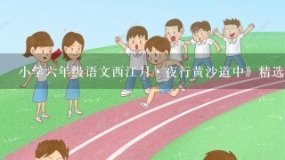 小学六年级语文西江月·夜行黄沙道中》精选教案